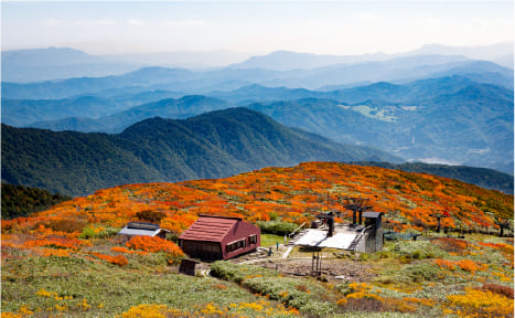 月山の紅葉